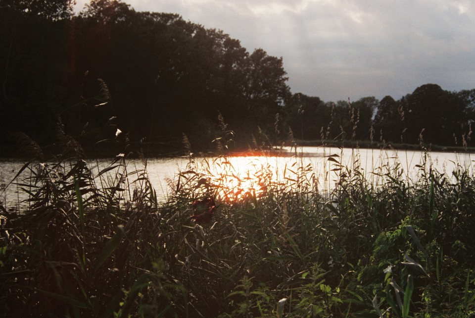 Photo of a pond reflecting the sun. It's heavy on halations, and a dark spot appears to the bottom left of them.